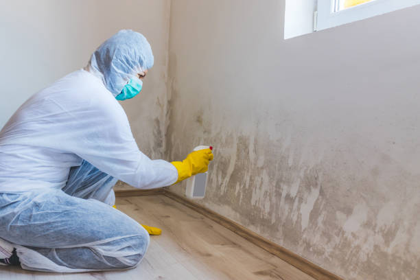 Licensed Crawl Space Mold Remediation service in Princeton, NJ - Car Mold Remediation