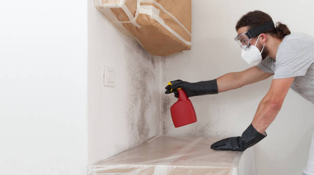 Professional Crawl Space Mold Remediation technician working in Princeton, NJ