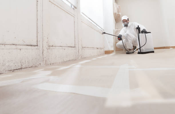 24/7 Emergency Crawl Space Mold Remediation experts in Princeton, NJ