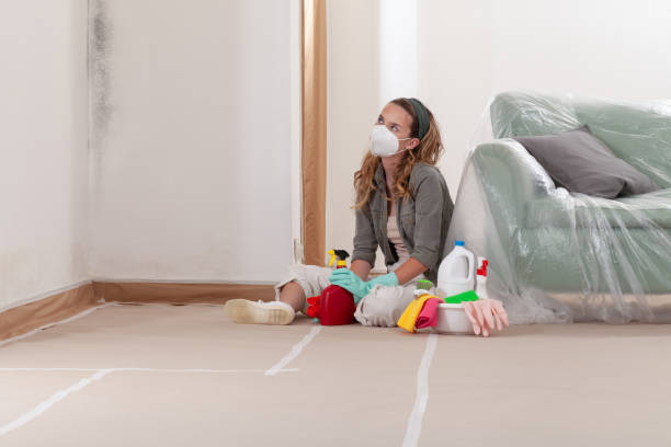 Reliable Crawl Space Mold Remediation contractor in Princeton, NJ by Car Mold Remediation
